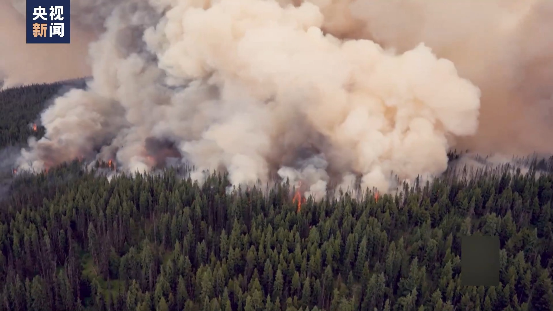 三角洲特种部队:美国加州北部山火导致数千人疏散